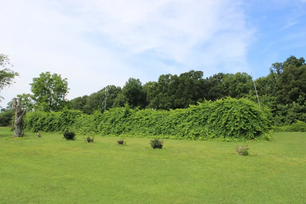 612 Bost Road Mcminnville TN 37110