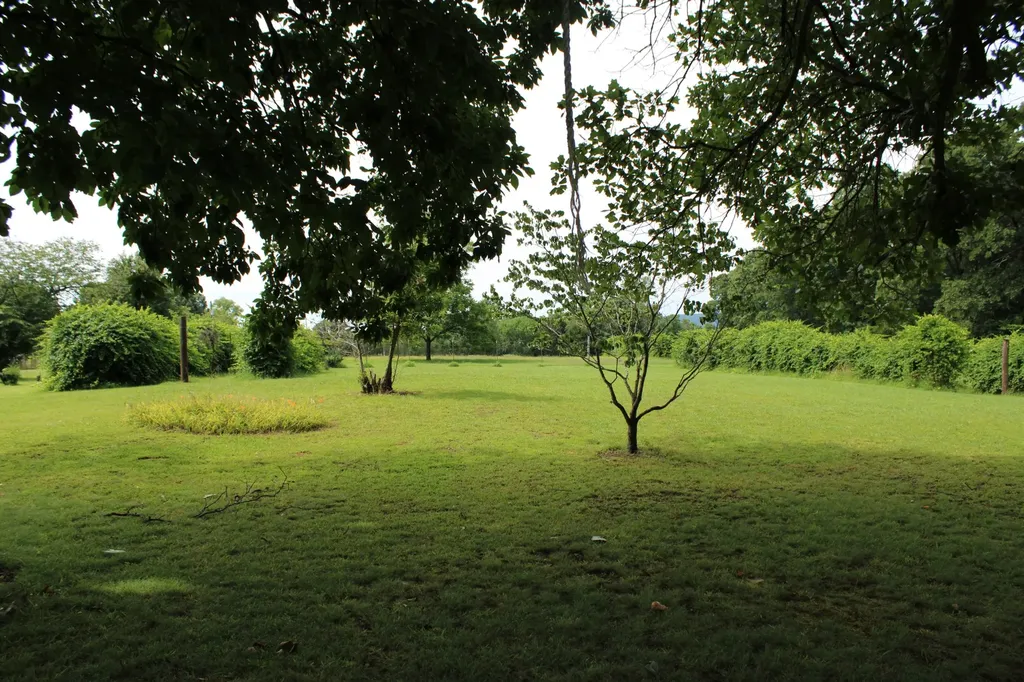 612 Bost Road Mcminnville TN 37110