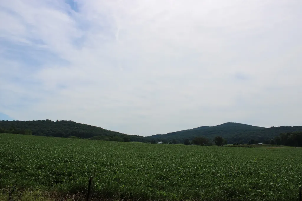 612 Bost Road Mcminnville TN 37110