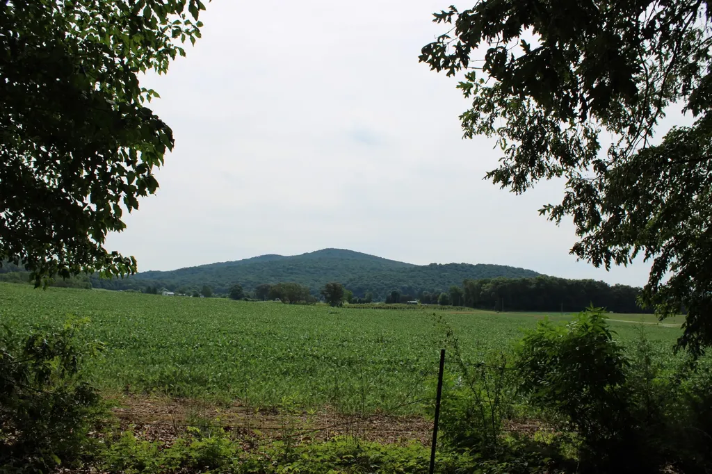 612 Bost Road Mcminnville TN 37110