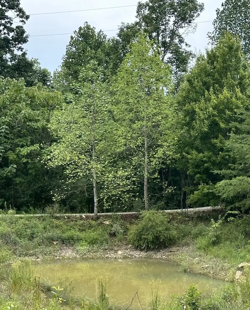283 Markum Lane Spencer TN 38585