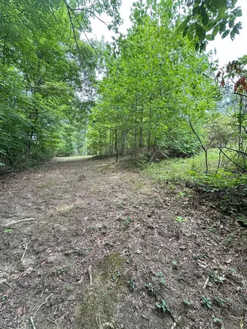 283 Markum Lane Spencer TN 38585