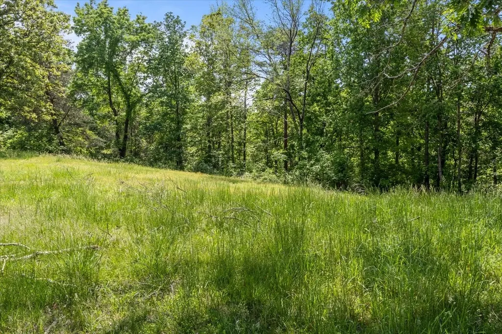 211 Minnow Road Waverly TN 37185