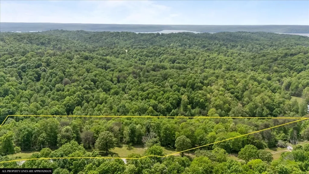 211 Minnow Road Waverly TN 37185
