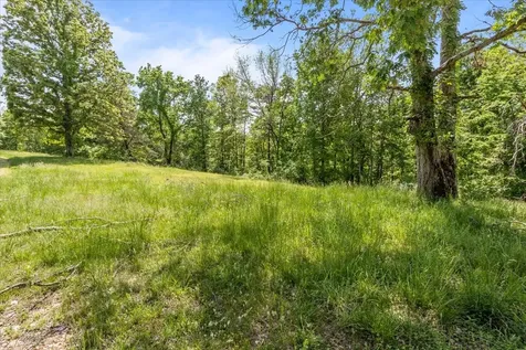 211 Minnow Road Waverly TN 37185
