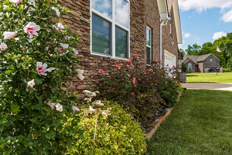 136 Timberland Drive Columbia TN 38401