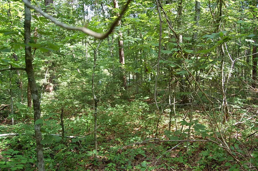 57 Hugh Allison Road Pikeville TN 37367