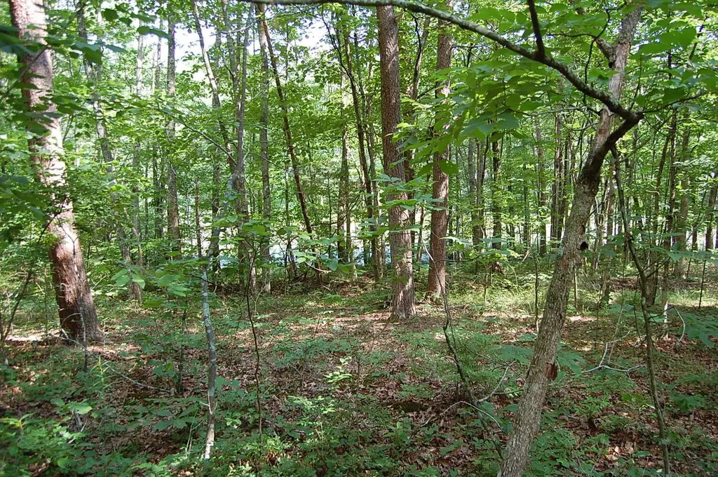 57 Hugh Allison Road Pikeville TN 37367