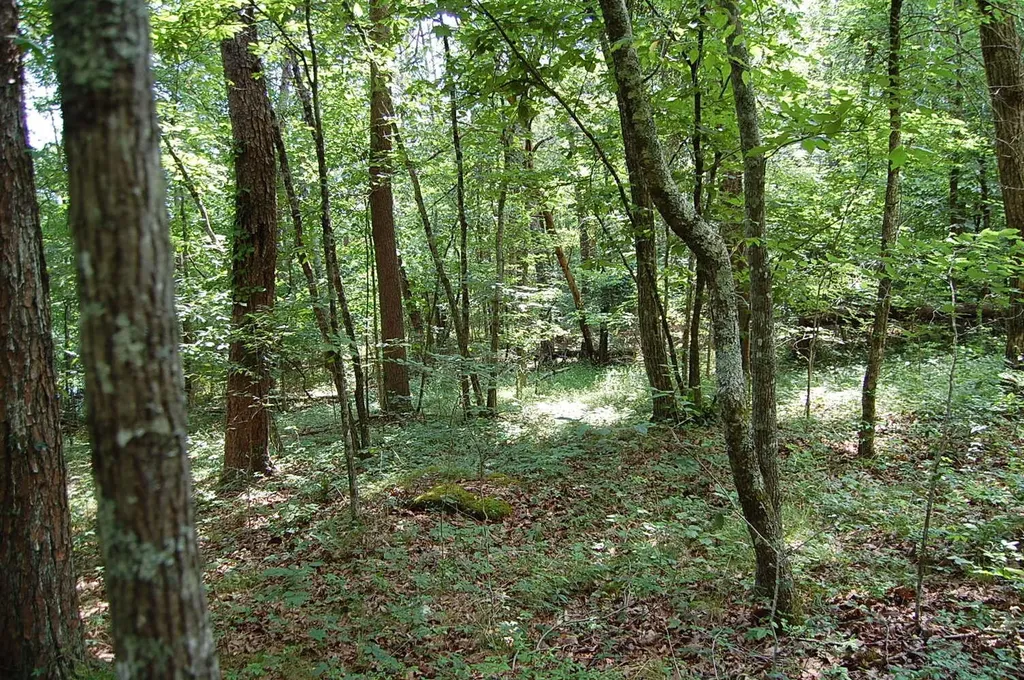 57 Hugh Allison Road Pikeville TN 37367