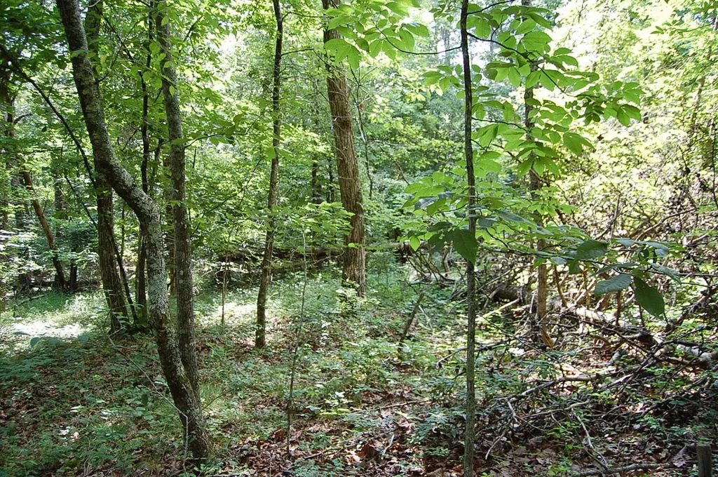 57 Hugh Allison Road Pikeville TN 37367