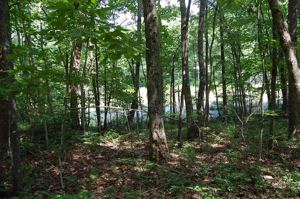 57 Hugh Allison Road Pikeville TN 37367