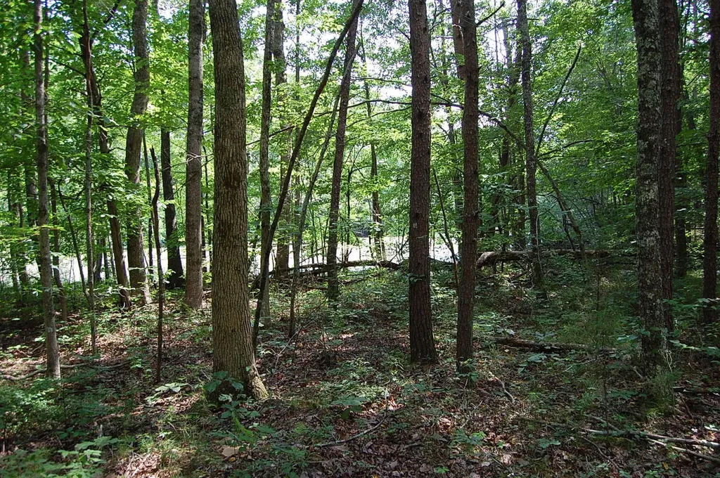 57 Hugh Allison Road Pikeville TN 37367