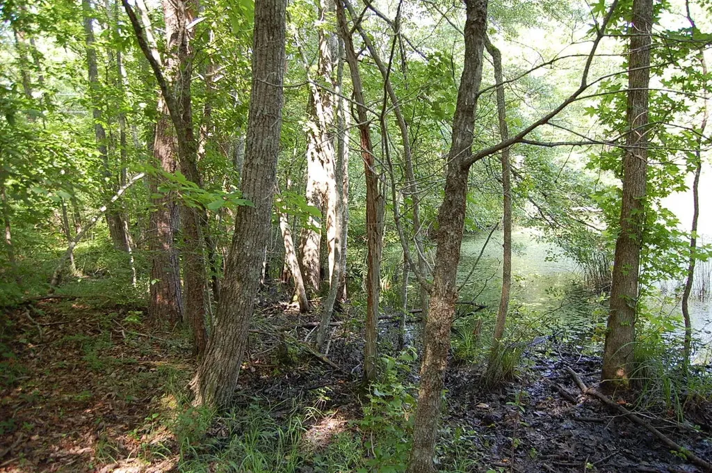 57 Hugh Allison Road Pikeville TN 37367