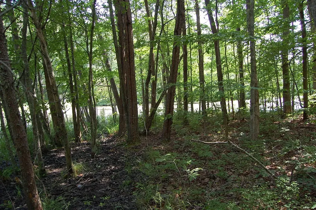 57 Hugh Allison Road Pikeville TN 37367