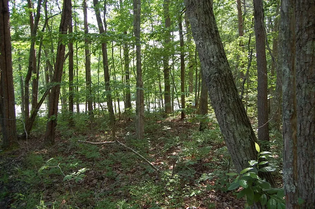57 Hugh Allison Road Pikeville TN 37367
