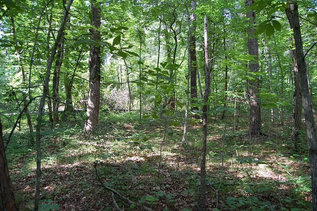 57 Hugh Allison Road Pikeville TN 37367