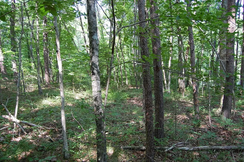 57 Hugh Allison Road Pikeville TN 37367