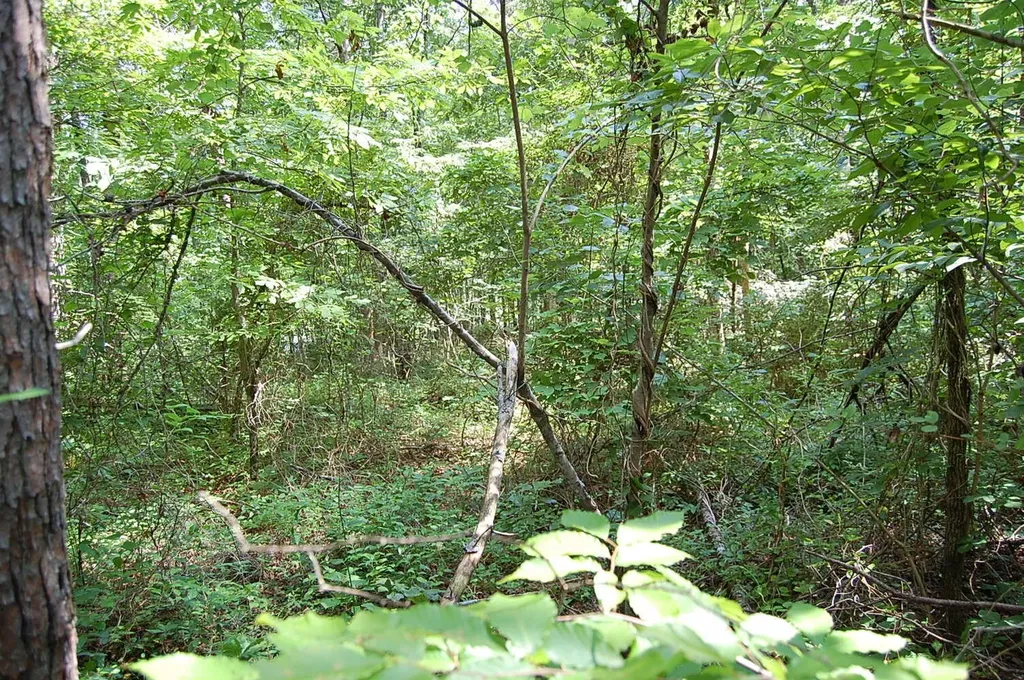 57 Hugh Allison Road Pikeville TN 37367