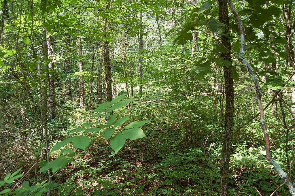 57 Hugh Allison Road Pikeville TN 37367