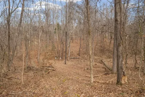 4313 Hargrove Marable Road Palmyra TN 37142