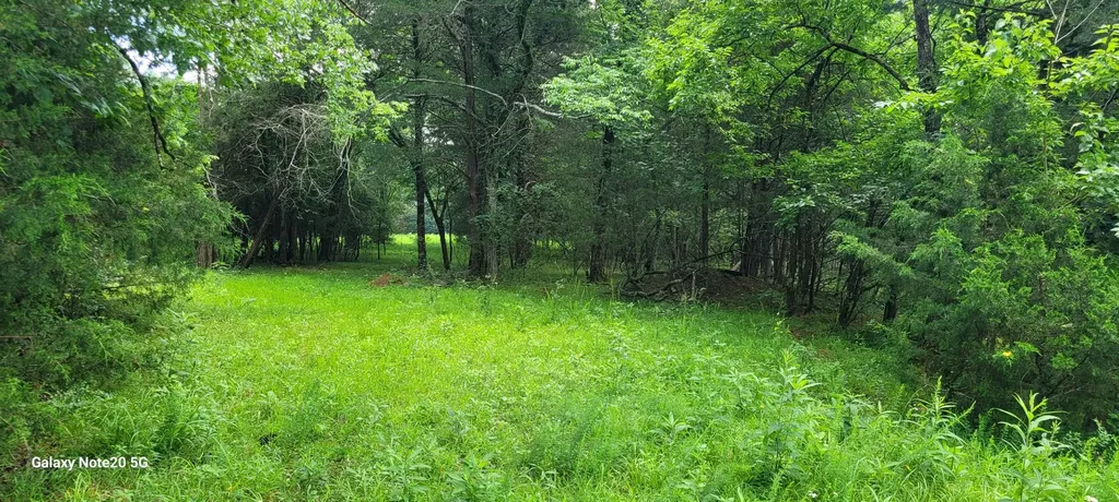 1 Clem Creek Road Chapel Hill TN 37034