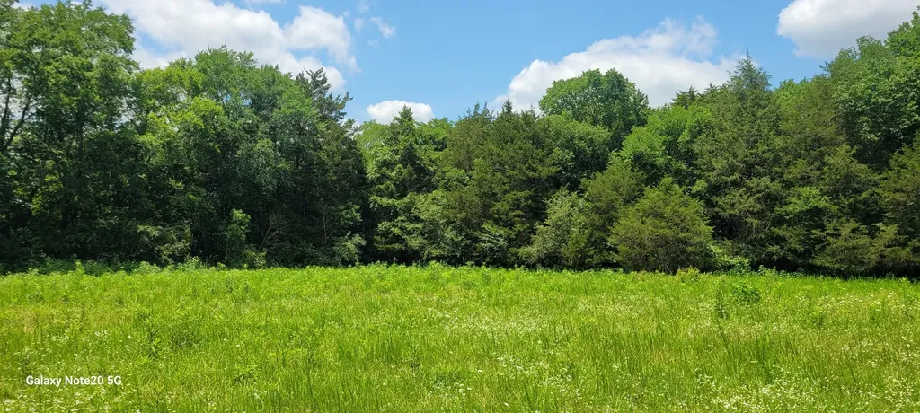 1 Clem Creek Road Chapel Hill TN 37034
