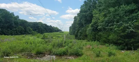 1 Clem Creek Road Chapel Hill TN 37034