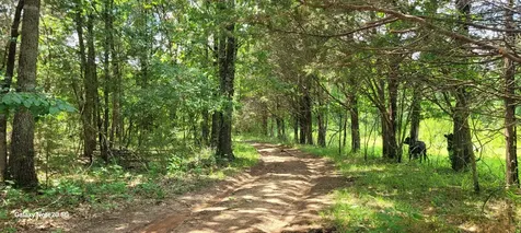 1 Clem Creek Road Chapel Hill TN 37034