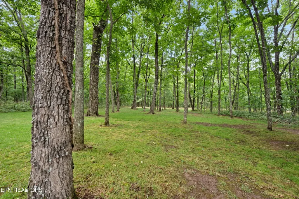 538 Snead Drive Crossville TN 38558