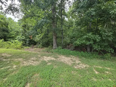 9326 Magnolia Way Nunnelly TN 37137