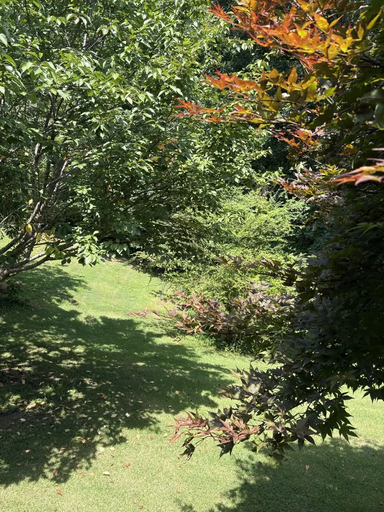 7604 Aubrey Ridge Court Fairview TN 37062