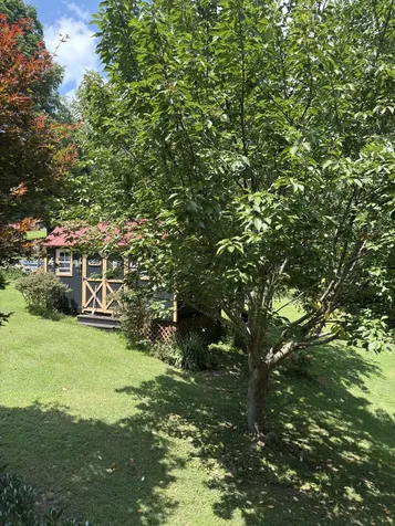 7604 Aubrey Ridge Court Fairview TN 37062