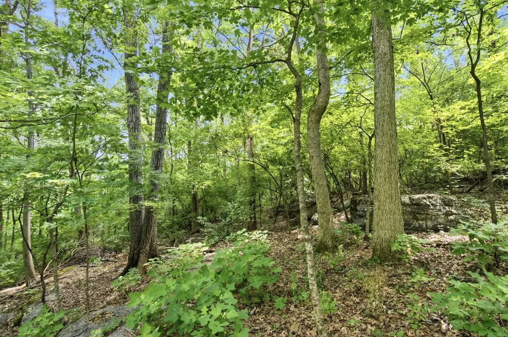 2324 Rader Ridge Road Antioch TN 37013