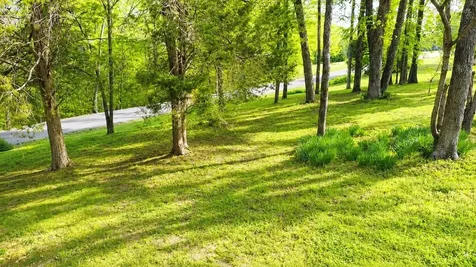 7311 Henry Drive Fairview TN 37062