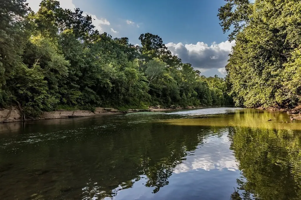 2611 Hidden Creek Way Columbia TN 38401