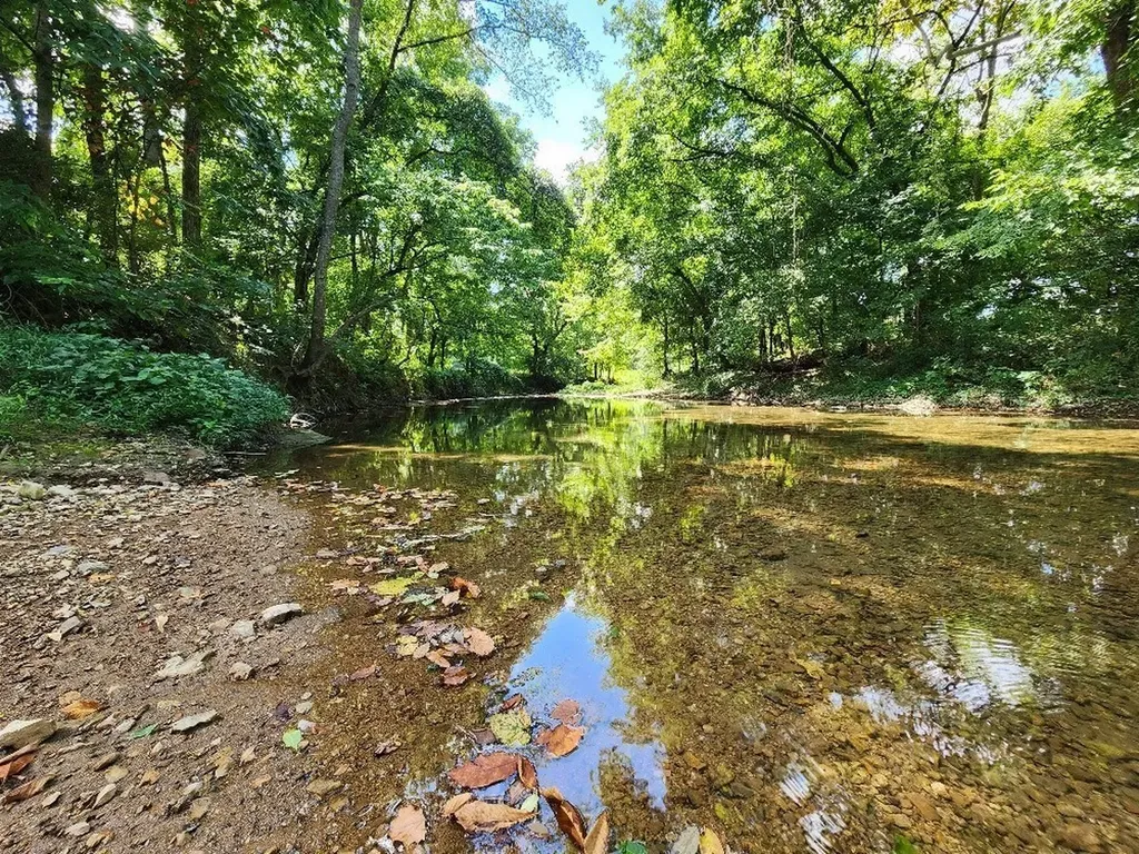 0 Taurus Farm Road Lafayette TN 37083
