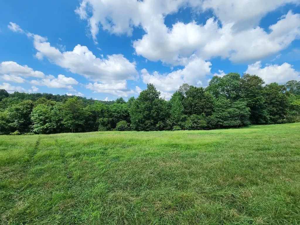 0 Taurus Farm Road Lafayette TN 37083
