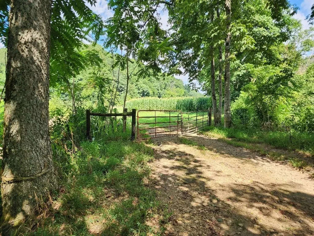 0 Taurus Farm Road Lafayette TN 37083