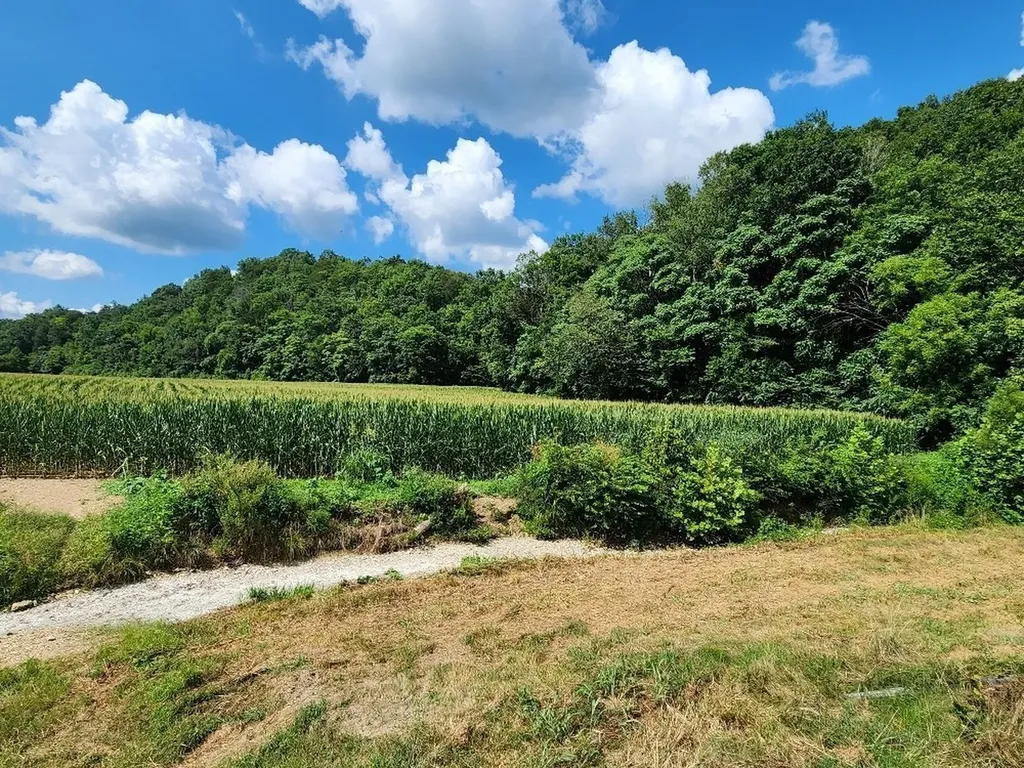 0 Taurus Farm Road Lafayette TN 37083