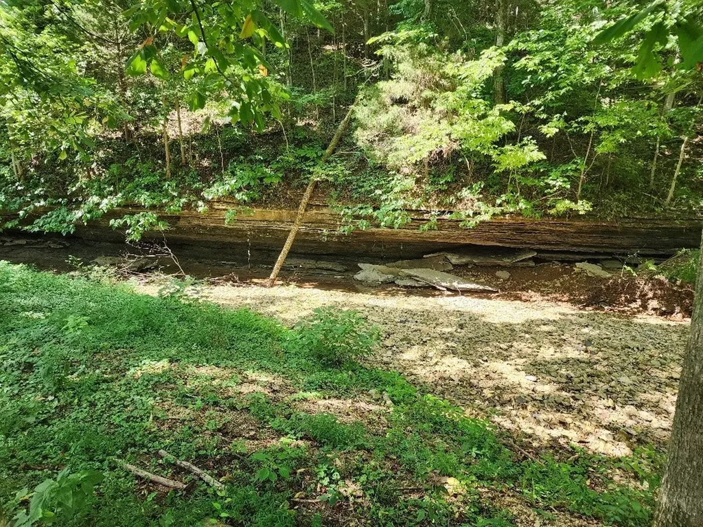 0 Taurus Farm Road Lafayette TN 37083
