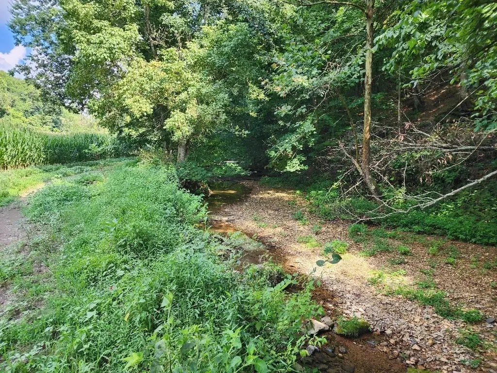 0 Taurus Farm Road Lafayette TN 37083