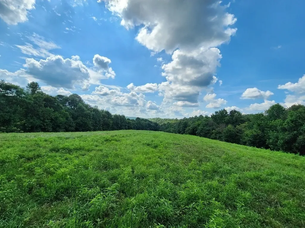 0 Taurus Farm Road Lafayette TN 37083