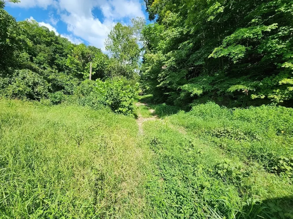 0 Taurus Farm Road Lafayette TN 37083