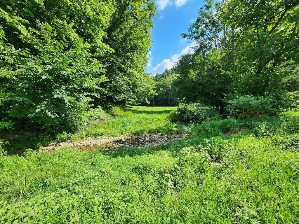 0 Taurus Farm Road Lafayette TN 37083