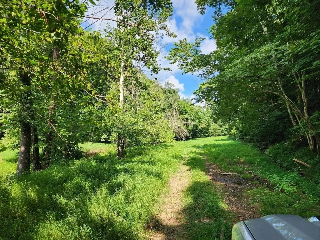 0 Taurus Farm Road Lafayette TN 37083