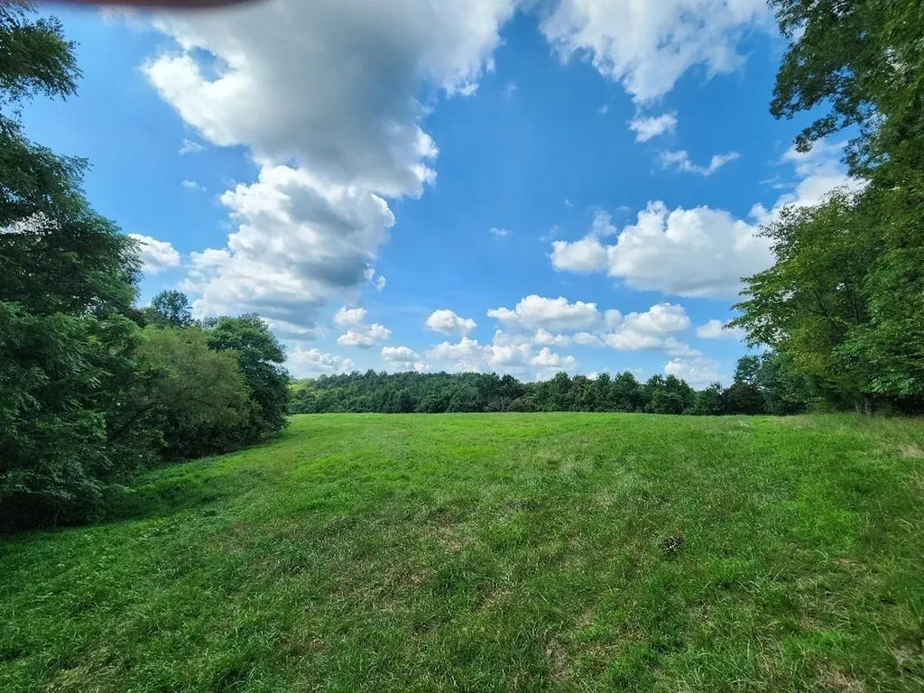0 Taurus Farm Road Lafayette TN 37083
