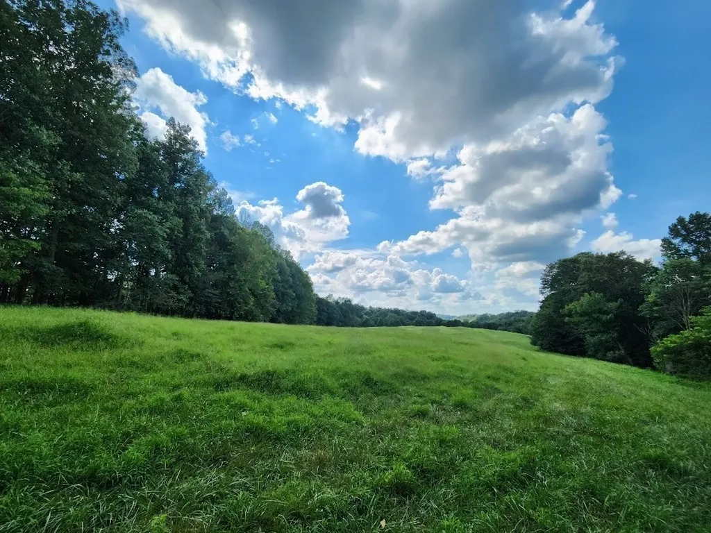 0 Taurus Farm Road Lafayette TN 37083