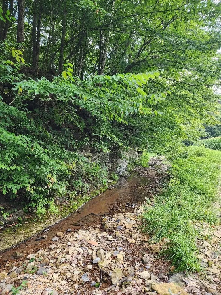 0 Taurus Farm Road Lafayette TN 37083