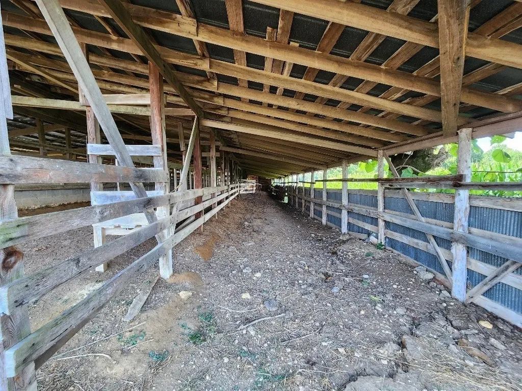 0 Taurus Farm Road Lafayette TN 37083