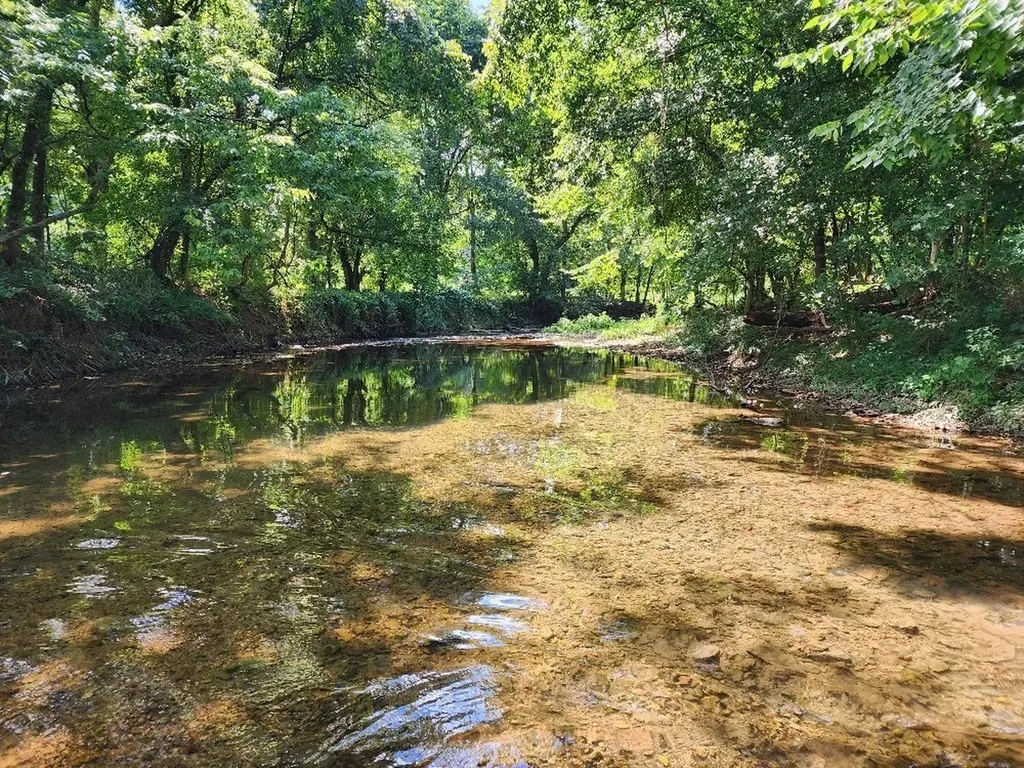 0 Taurus Farm Road Lafayette TN 37083